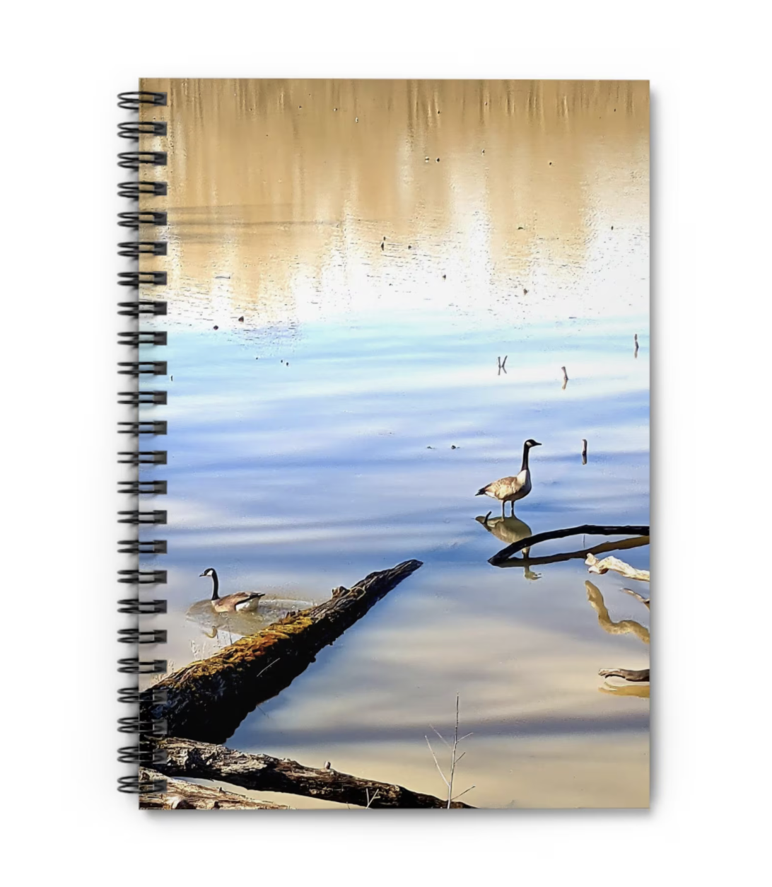 geese on lake notebook front