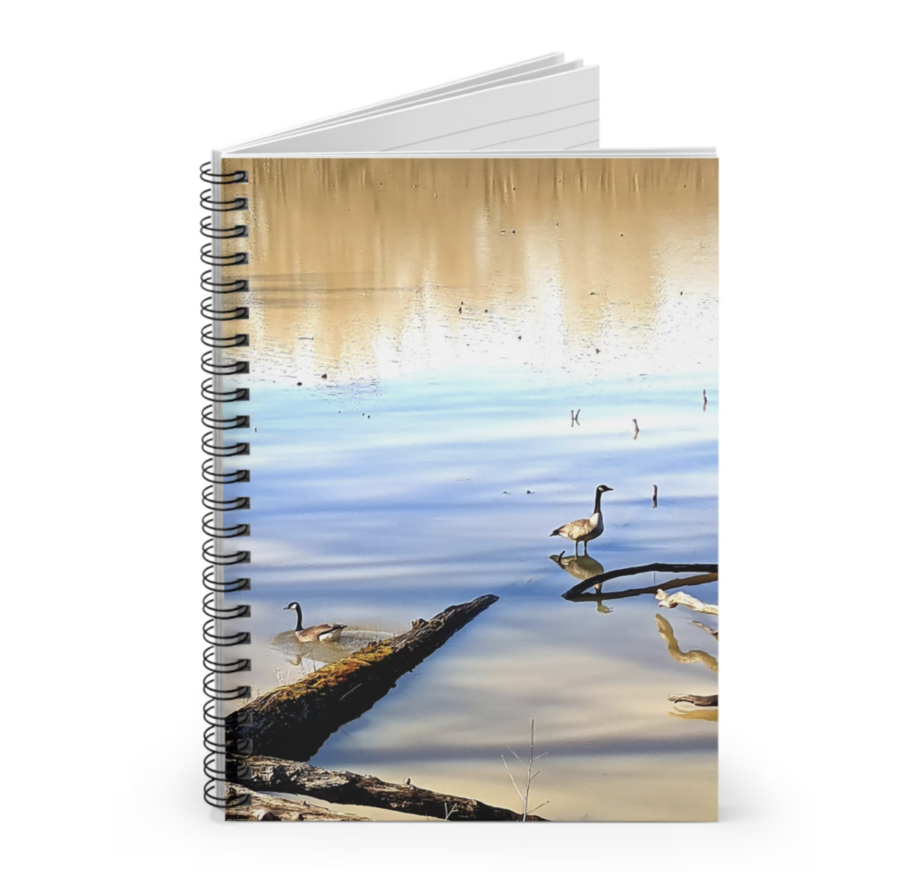 Geese Notebook Open